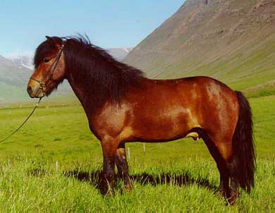 NORDLAND